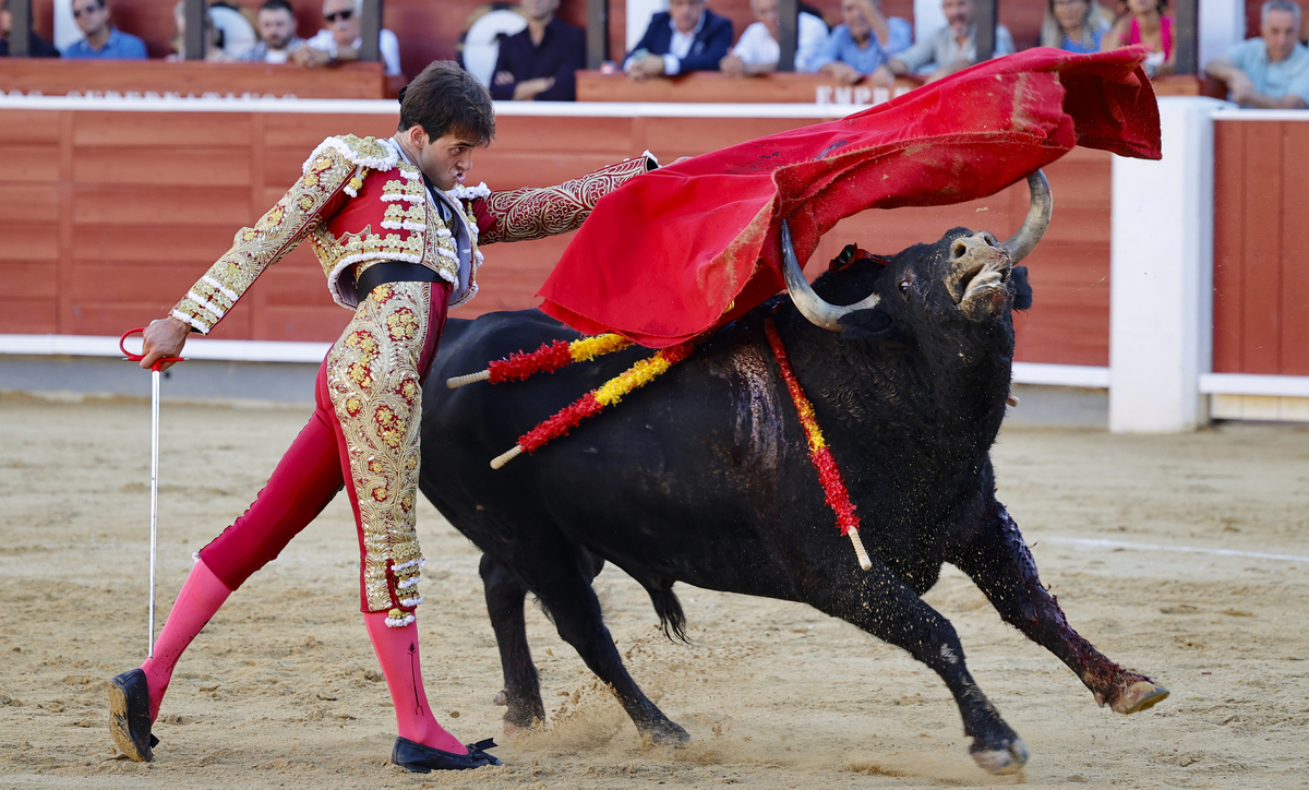 ARTURO PÉREZ