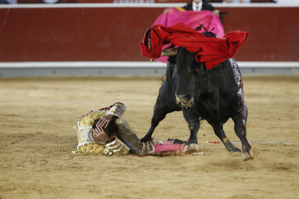 Un momento del festejo  / JOSÉ MIGUEL ESPARCIA