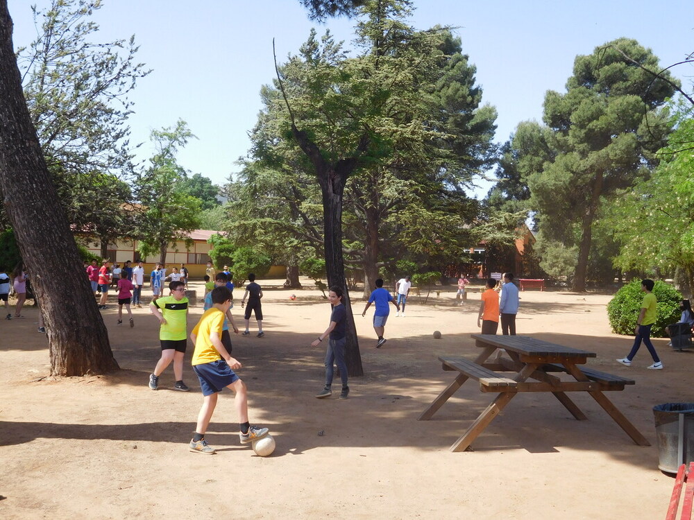 Dirigen las actividades de la Semana de la Ciencia a la tierra