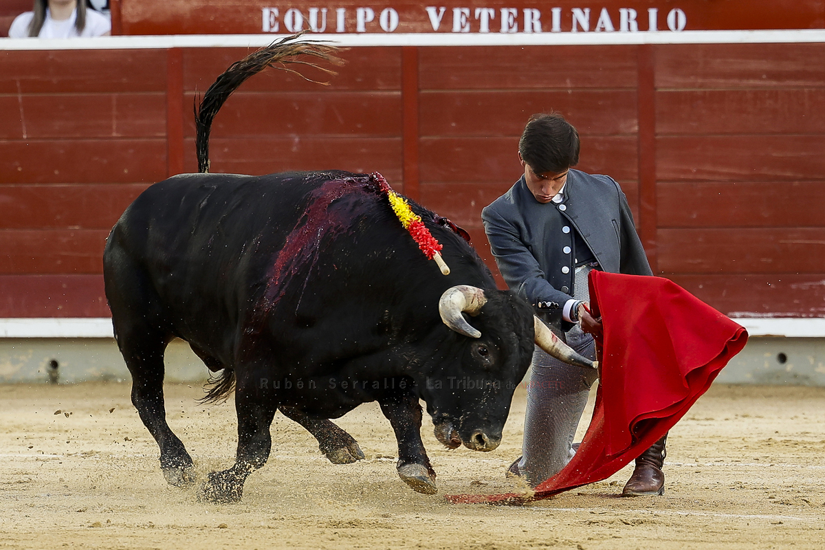 RUBÉN SERRALLÉ