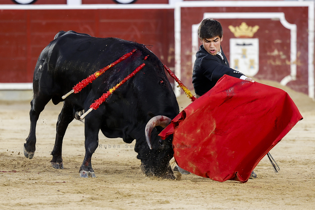 RUBÉN SERRALLÉ