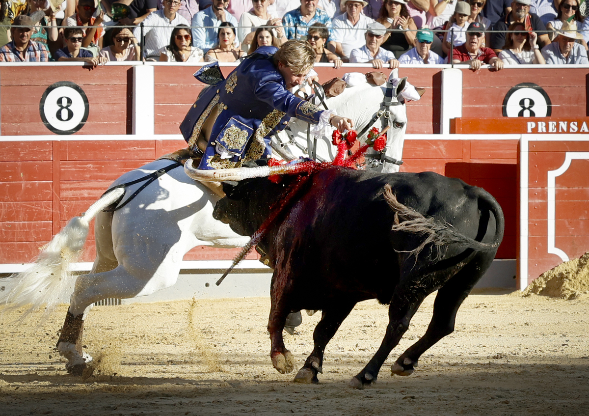 ARTURO PÉREZ