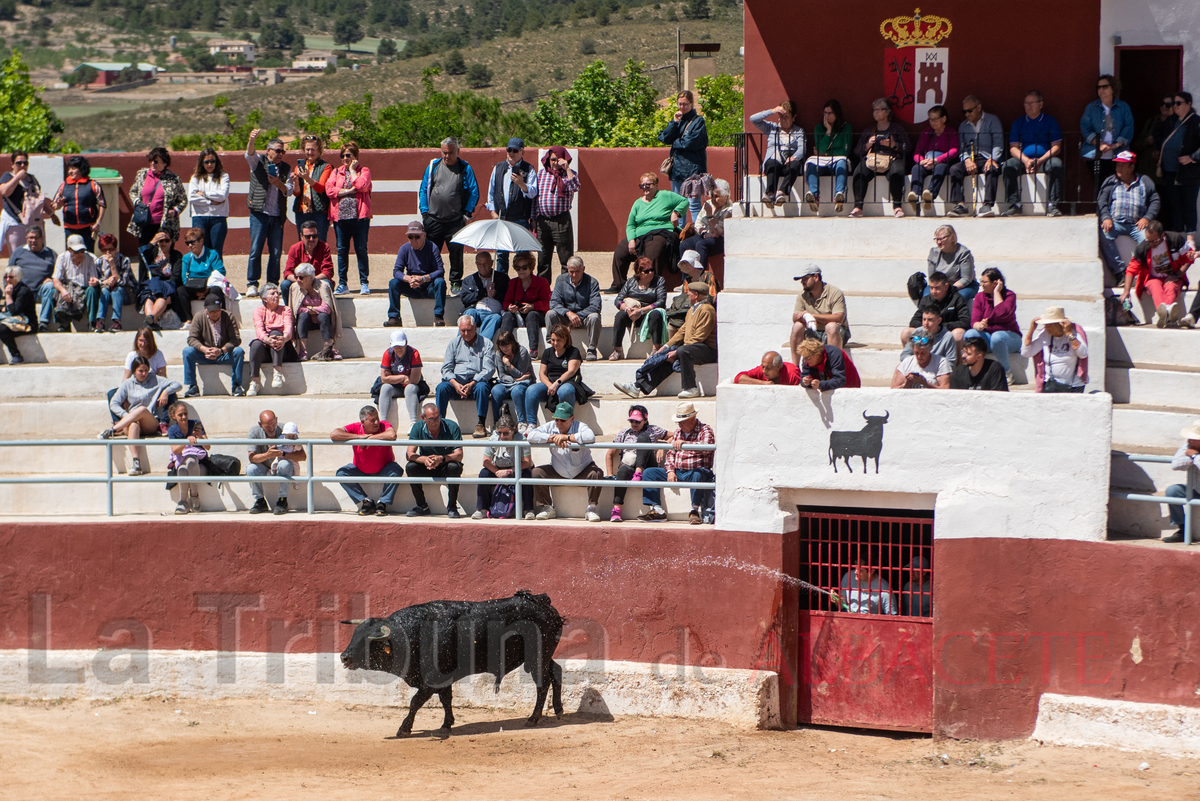 Encierro de Alcadozo  / VÍCTOR FERNÁNDEZ