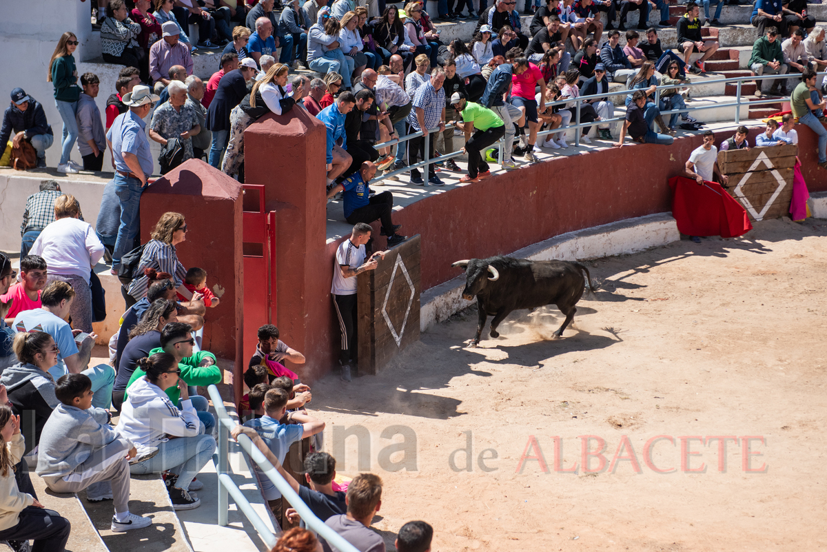 Encierro de Alcadozo  / VÍCTOR FERNÁNDEZ