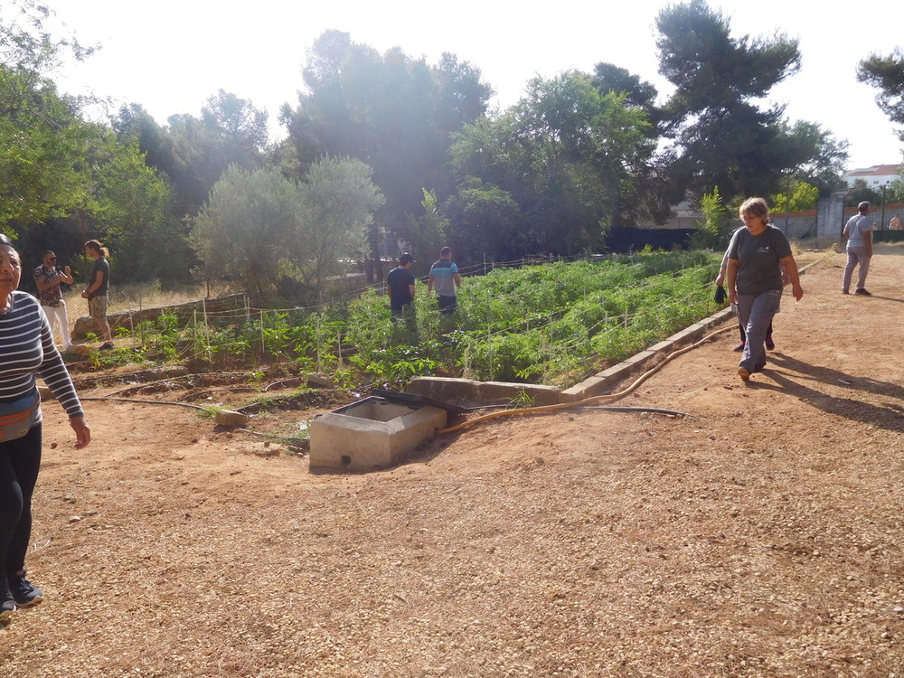 Distinguen la fuerza voluntaria de Cáritas de Villarrobledo