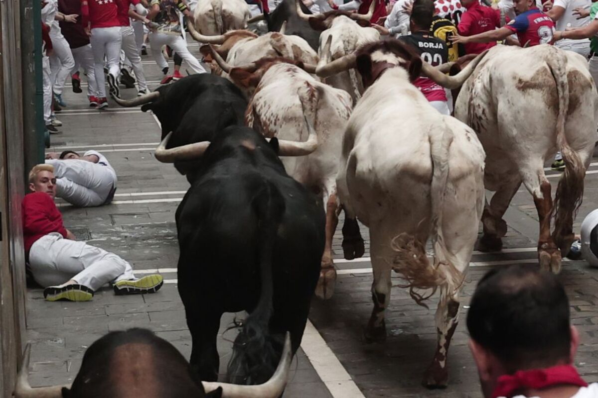 La velocidad de los Victoriano del Río para el tercer encierro de los Sanfermines  / JESÚS DIGES