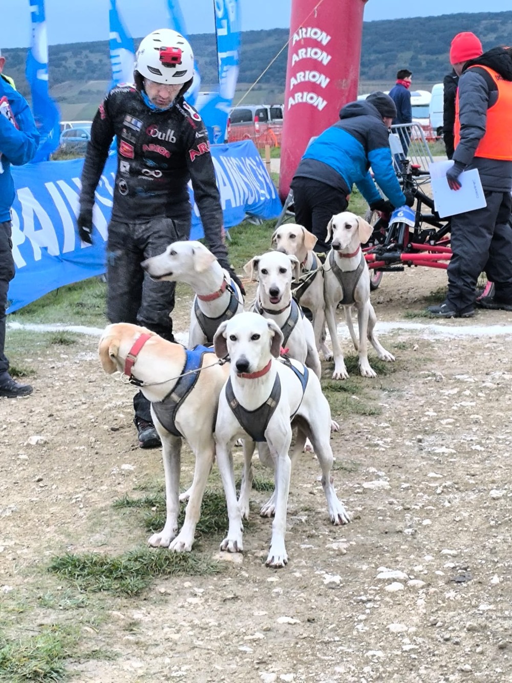 El musher hellinero, junto a sus perros.