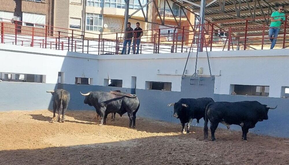 Los otros cuatro toros del festejo.