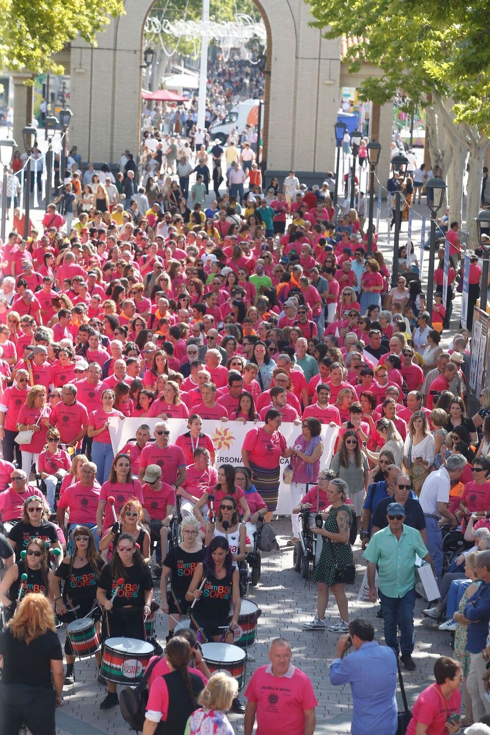 Marcha por la discapacidad.