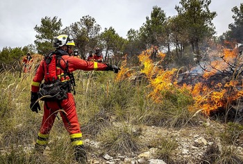 Un incendio quemó más de 30 hectáreas de arbolado en el Cenad