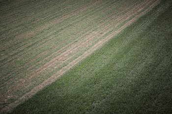 Agricultura aclara el funcionamiento de anticipo de la PAC