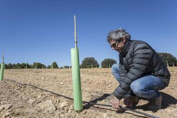 El ITAP explica en los EEUU el control del riego del almendro