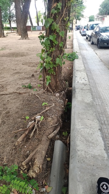 El muro del parque Joaquín Acacio incumple la alineación