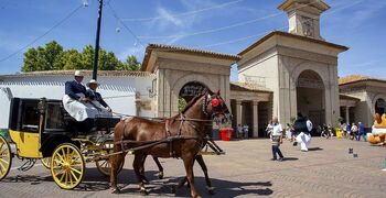 La cabalgata ecuestre llenó la calle de color