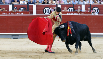 Francisco José Mazo recibirá el premio como mejor novillero