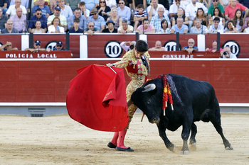 Francisco José Mazo recibirá el premio como mejor novillero