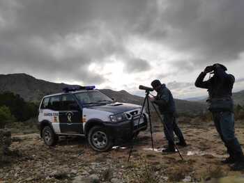 Investigan en Nerpio la muerte a tiros de un quebrantahuesos