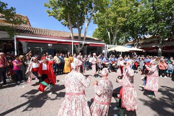 La Danza del Zángano de Pozohondo  brilla en la Feria