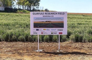 El ITAP 'exportará' el guayule a la Comunidad de Madrid