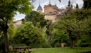 Elche acogerá un seminario sobre acompañamiento y el personal