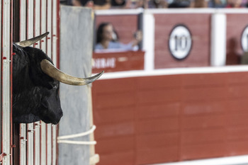 Una entidad niega la apertura de una cuenta a peña La Taurina