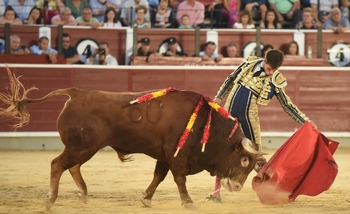 Samuel Navalón abrió la puerta grande en Dax