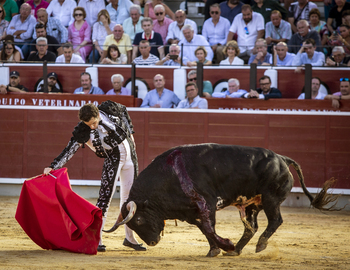 El diestro Andrés Palacios abre el domingo la Feria taurina