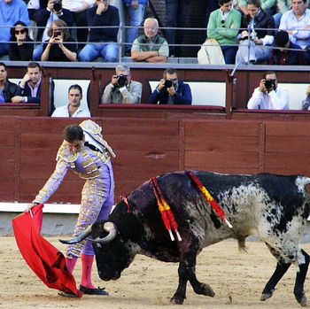 Jesús Moreno padece en Las Ventas dos novillos imposibles