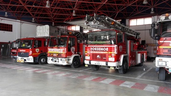 Los bomberos rescatan a un gato de un árbol