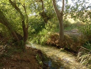 Limpiarán la reserva de los ríos Salobre y Arjona