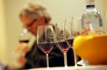 La Diputación refuerza su apoyo al sector vinícola de Albacete