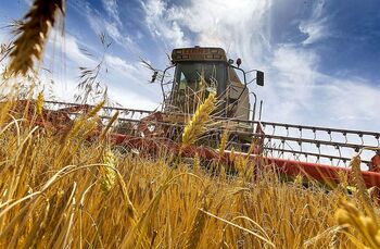 La cosecha de cereal de Albacete será la excepción a peor