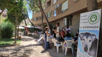 Villarrobledo celebra en Feria ambiente colectivo y artesano