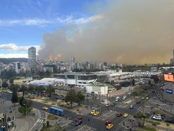 Ecuador afirma que los incendios forestales fueron provocados