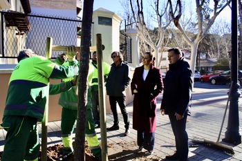 El Ayuntamiento replantará más de 200 árboles durante 2025