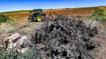 El vino blanco culmina el sorpaso a un tinto 