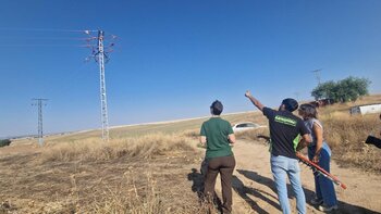 Un millón de euros de la Junta para proteger la avifauna