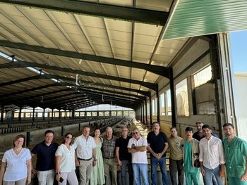 La raza de ovino Lacaune se hace un hueco en Albacete