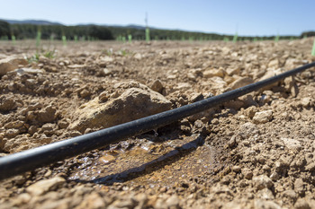 La Junta promoverá 9.159 hectáreas más de regadío en Albacete