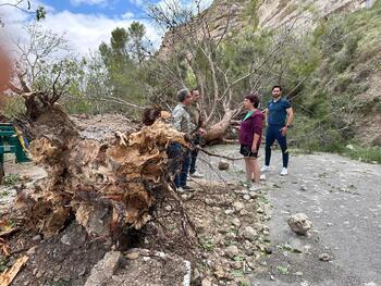 Daños en La Manchuela por la tromba de agua, viento y granizo