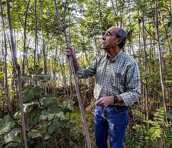 Custodios de la naturaleza