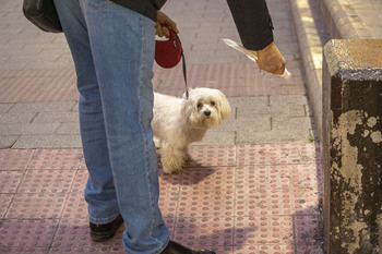 La población canina aumenta un 4,2% en el primer cuatrimestre