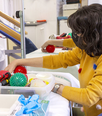 Científicas albacetenses hallan una proteína clave en artrosis