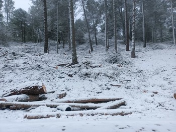 La nieve regresa con calma a Albacete