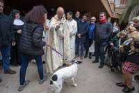 Los animales reciben la bendición